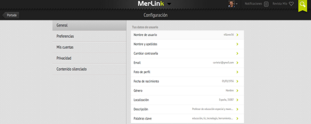 Merlink: revistas digitales para centralizar la información