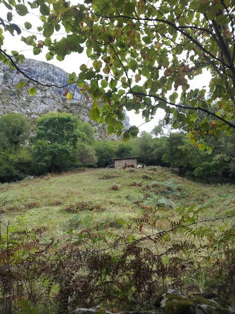 BEYU PEN: El Encanto de La Mitología