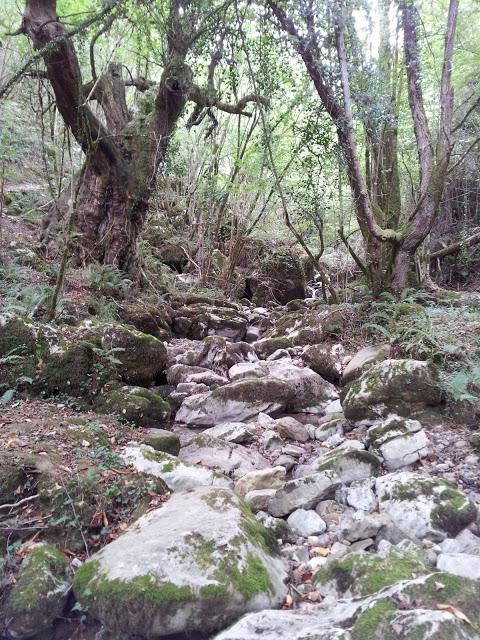 BEYU PEN: El Encanto de La Mitología