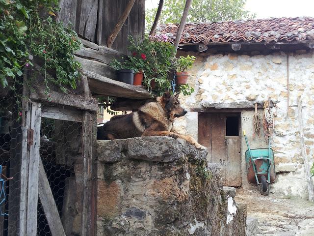 BEYU PEN: El Encanto de La Mitología