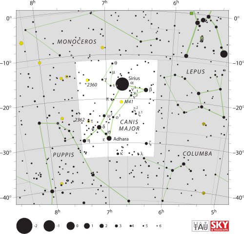 Canis lupus familiaris