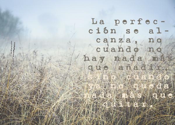 La frase que inspira…