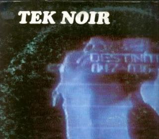 TEK NOIR - DESTINATION ( 1993 )
