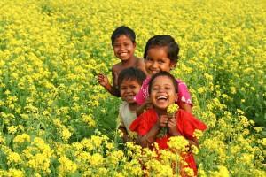 alcanzar la felicidad alcanzar la felicidad