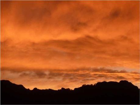 Sonidos de Otoño Sonidos de Otoño