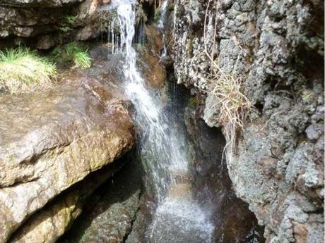 Sonidos de Otoño Sonidos de Otoño