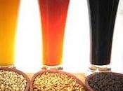 Cerveza