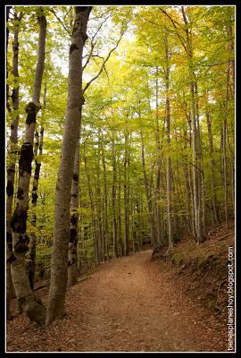 Valle de Ordesa