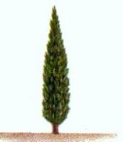 Me cuesta expresar mis emociones en público