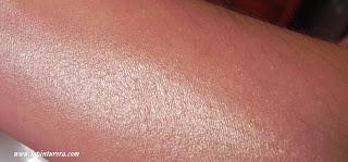 Últimos poti-chanchullos