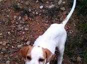 puede seguir tienen oficina