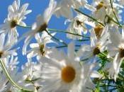 Amar esperar nada cambio…