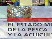 FAO: Estado Mundial Pesca Acuicultura 2012 castellano