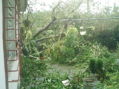 (Con imágenes) Huracán Sandy en Santiago de Cuba: La IRA del DIABLO