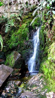 Felicitaciones a los Ganadores del premio Periodismo Ecológico 2012