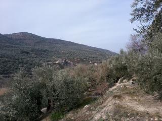 Seamos Agrícolas, por favor.