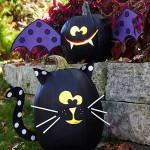 56787645272548584_ZFo9VdK0_c