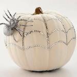 539402_10151235544325240_985176230_n