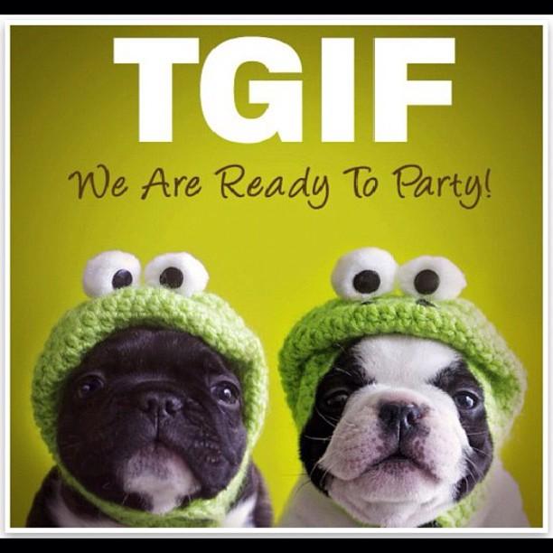 Mi semana en INSTAGRAM (@kingdom4fashion)