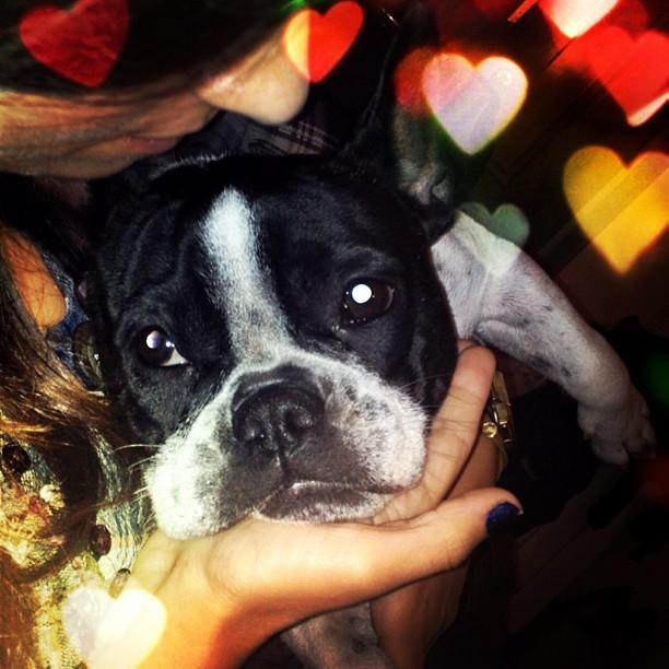 Mi semana en INSTAGRAM (@kingdom4fashion)