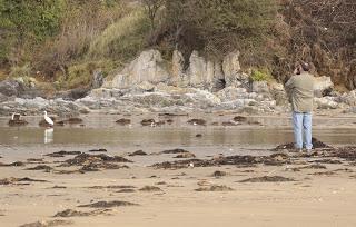 Combatiente y otros en Bañugues.