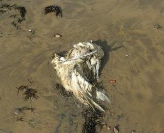 Combatiente y otros en Bañugues.