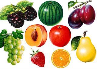 Guia roja y verde de alimentos transgenicos Guia roja y verde de alimentos transgenicos