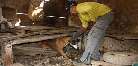 Multa de 19.000 euros para un cazador que maltrataba a sus perros en una finca de Montcada i Reixac.