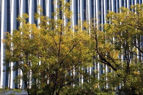 Nuevas imágenes de la fachada reformada por A-cero de un emblemático edificio de Madrid