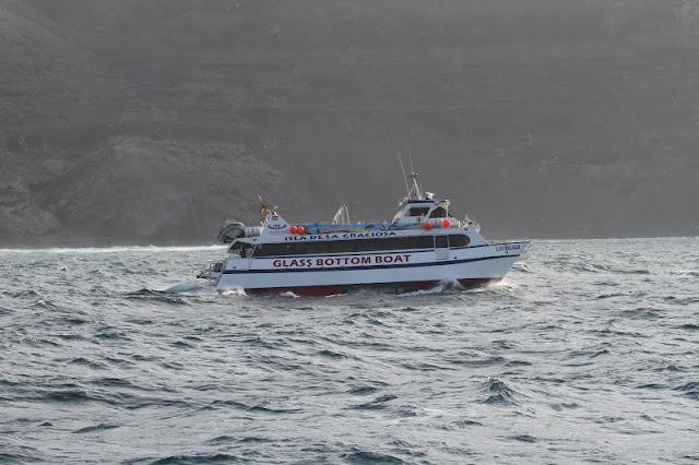 Lanzarote pelagics Y (III)