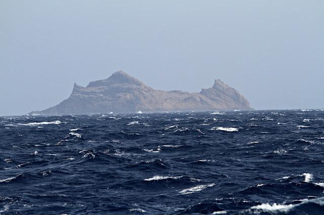 Lanzarote pelagics Y (III)