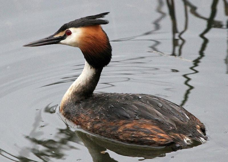 PRIMAVERA EN SALBURUA