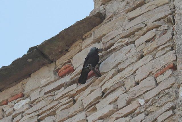Semana santa en Las landas II