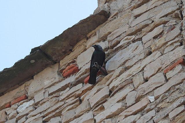 Semana santa en Las landas II