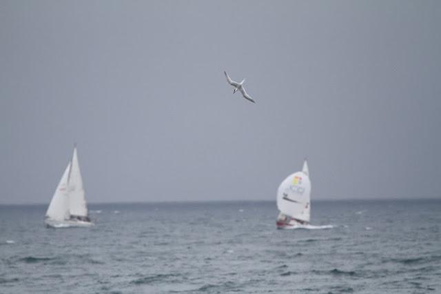Semana santa en Las landas II