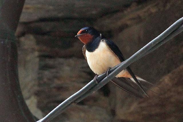Semana santa en Las landas II
