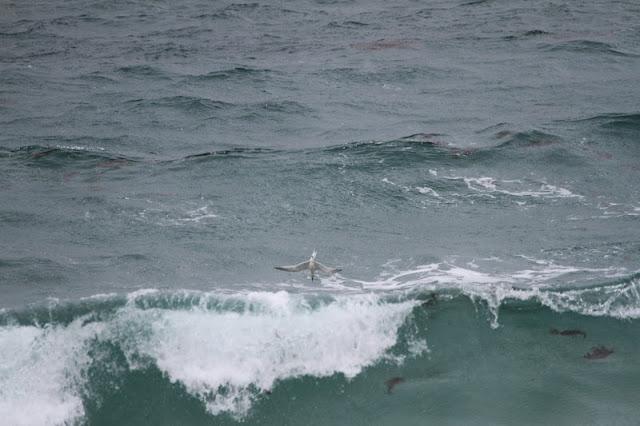 Semana santa en Las landas II