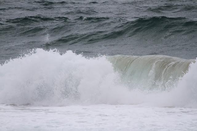 Semana santa en Las landas II