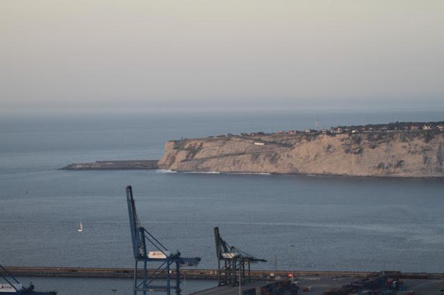 PAJAREANDO POR SANTURTZI Monte Serantes II