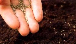 cultivar Compartir lo bueno… LA MEJOR MANERA DE VIVIR.