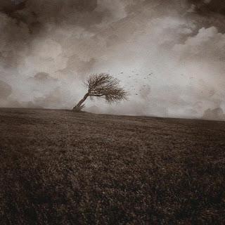 MIS DÍAS DE TORMENTA