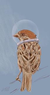 LOS MIEDOS DEL GORRIÓN