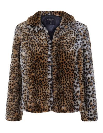 Oficialmente llegó el Otoño.......