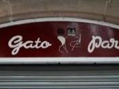 Luna llena lago plateado…