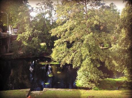 Rocker in nature