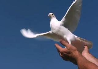 EDUCAR  PARA LIBERAR NUESTROS SUEÑOS