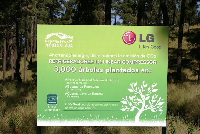 LG y Reforestemos México  de manera conjunta  siembran 3 mil arboles en los principales bosques del País