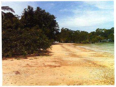 A-cero presenta una vivienda A-cero Tech en Panamá