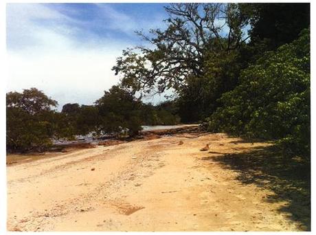 A-cero presenta una vivienda A-cero Tech en Panamá