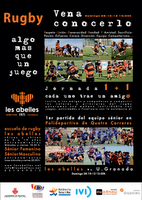 CAMPOS Y HORARIOS DE COPA DEL REY Y DIVISIÓN DE HONOR 